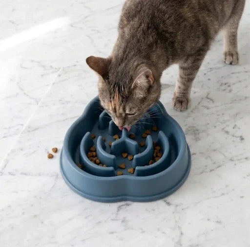 Gamelle anti Glouton Chat Image