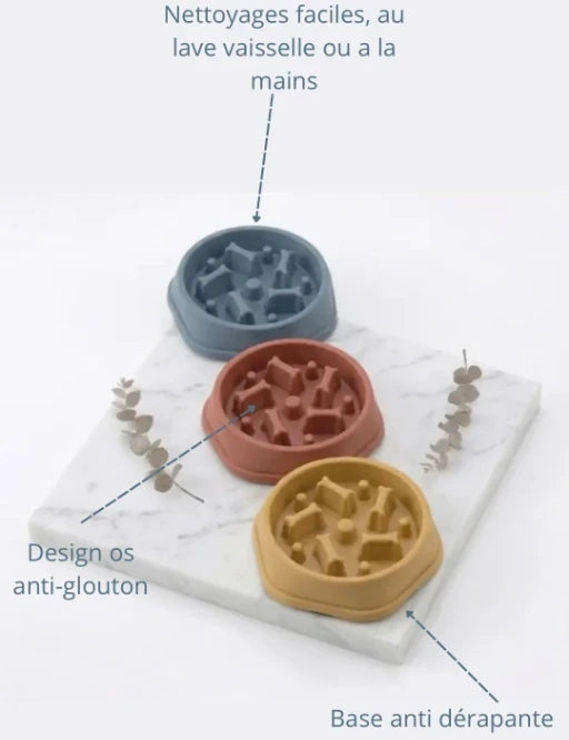 gamelle anti-glouton pour chien design os, nettoyage facile au lave-vaisselle et base antidérapante