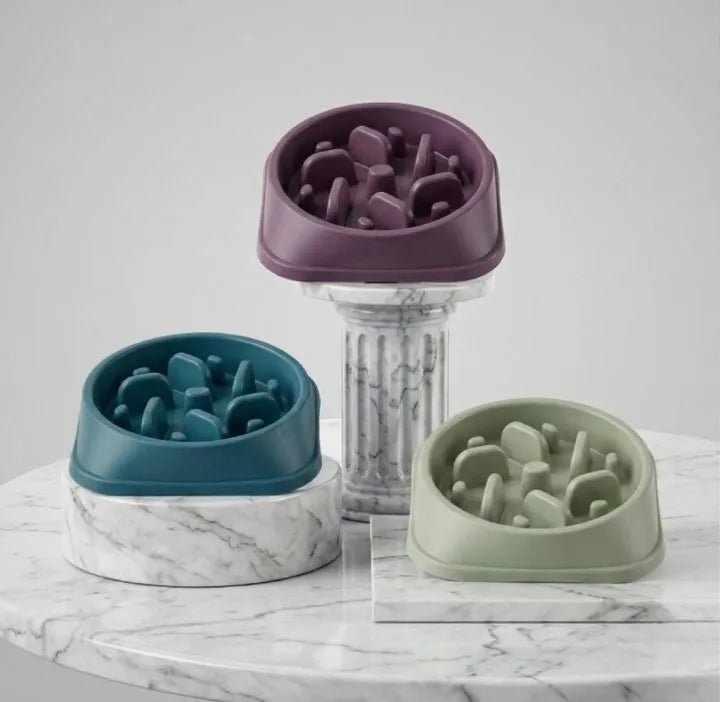 3 gamelle anti glouton sur des socle