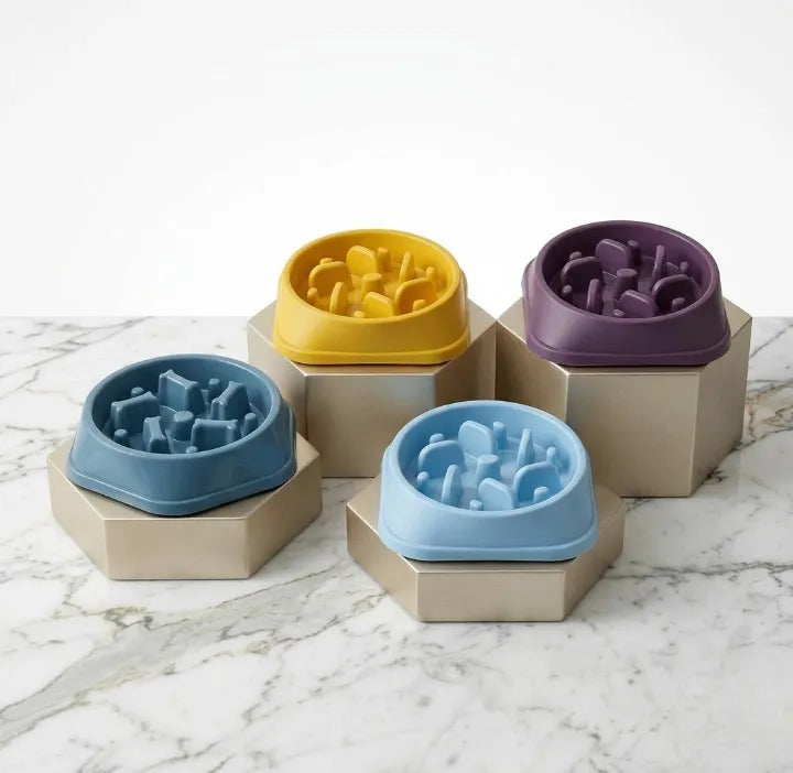 4 gamelle anti glouton pour chien sur des socle  Image