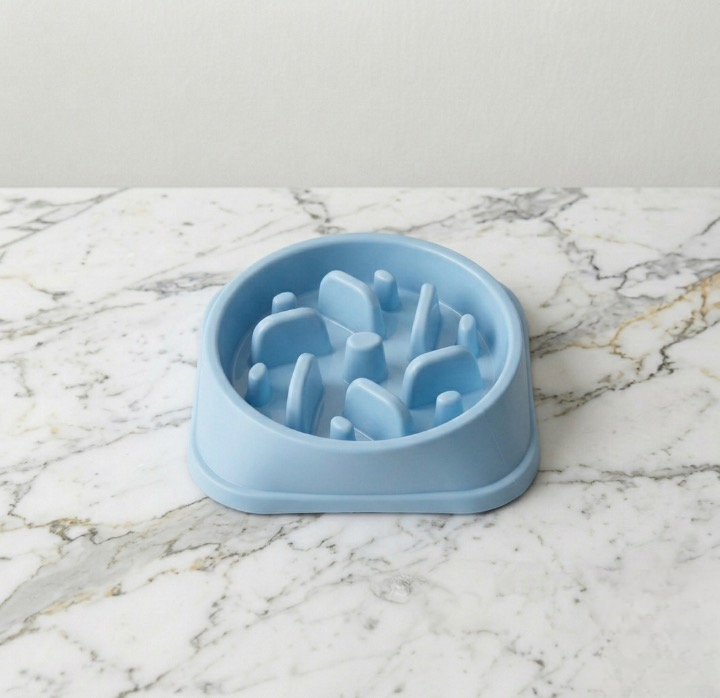 Gamelle Anti Glouton Chien