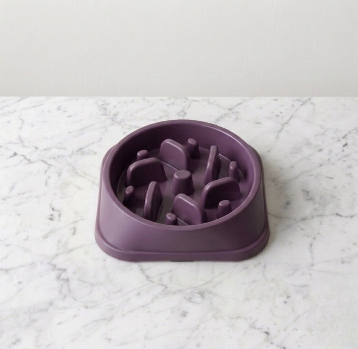 Gamelle Anti Glouton Chien