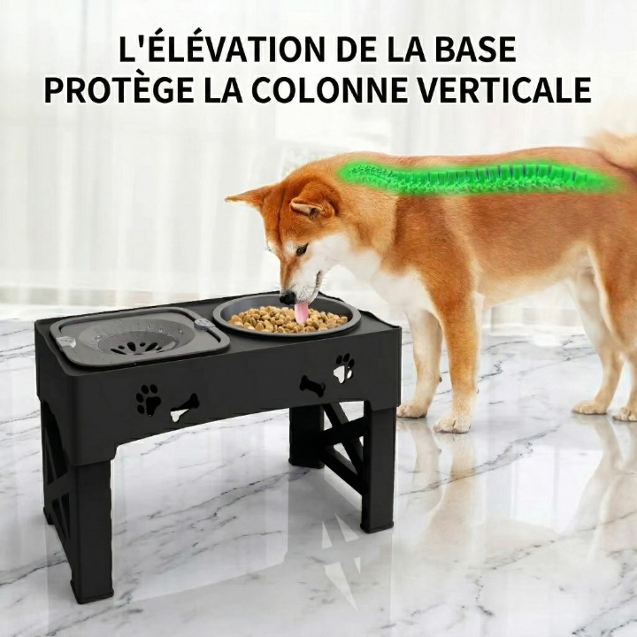 Gamelle Anti Glouton 3 en 1 Chien