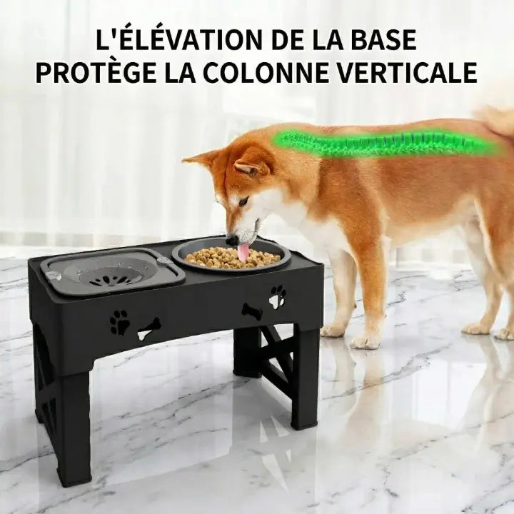 gamelle anti glouton 3 en 1 dos du chien avec texte