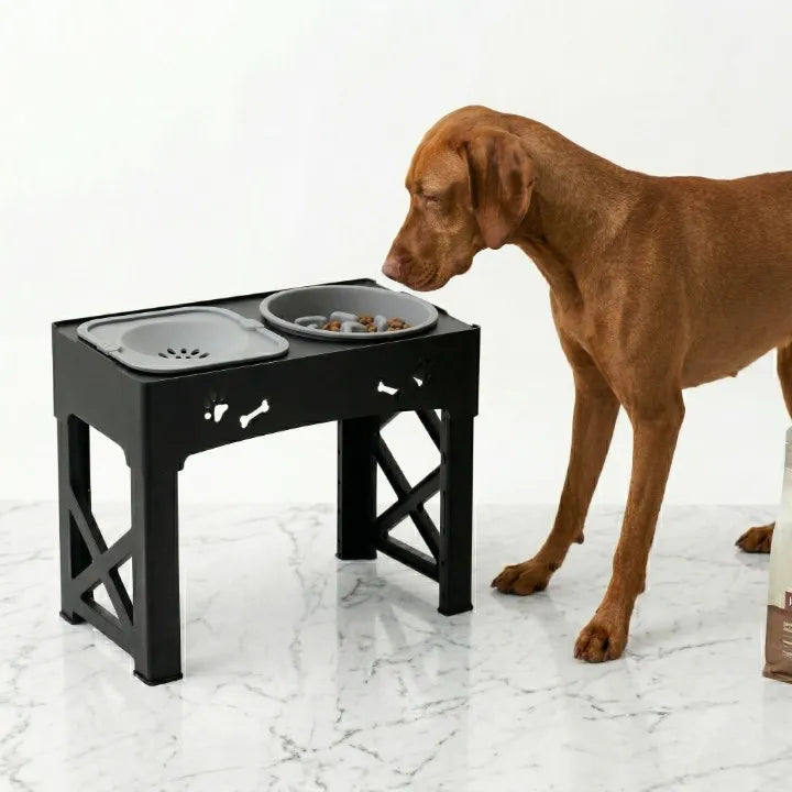 gamelle anti glouton 3 en 1 réglable en hauteur avec un chien chien a droite
