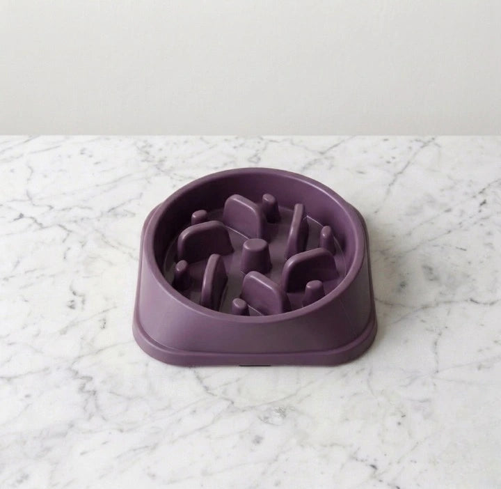 gamelle anti glouton avec pico violet