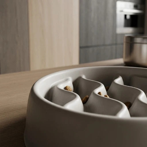 gamelle anti glouton gris dans une cuisine