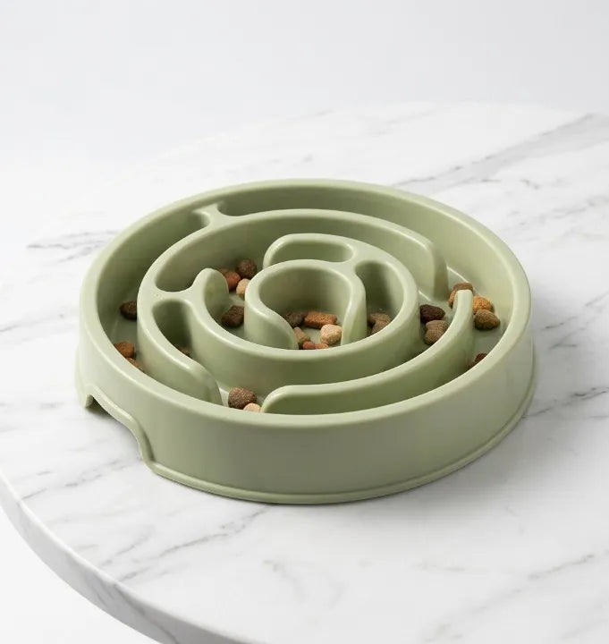 gamelle anti glouton vert classique sur une table en marbre