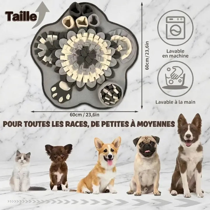 guide du tapis de renfilage