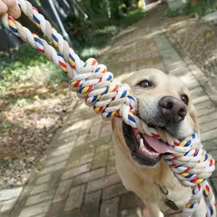 jouet corde chien qui la dans la gueule 