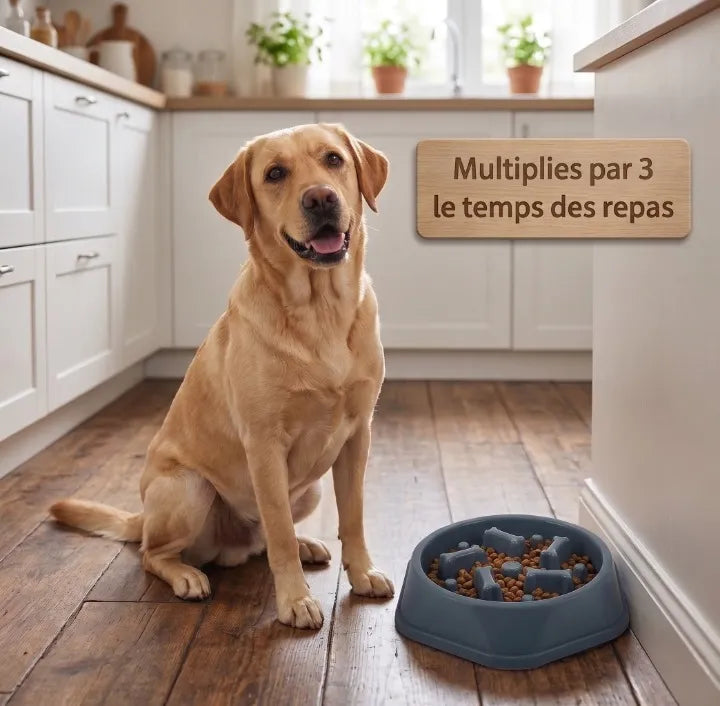 multiplies par 3 le temps des repas grâce aux gamelle anti glouton