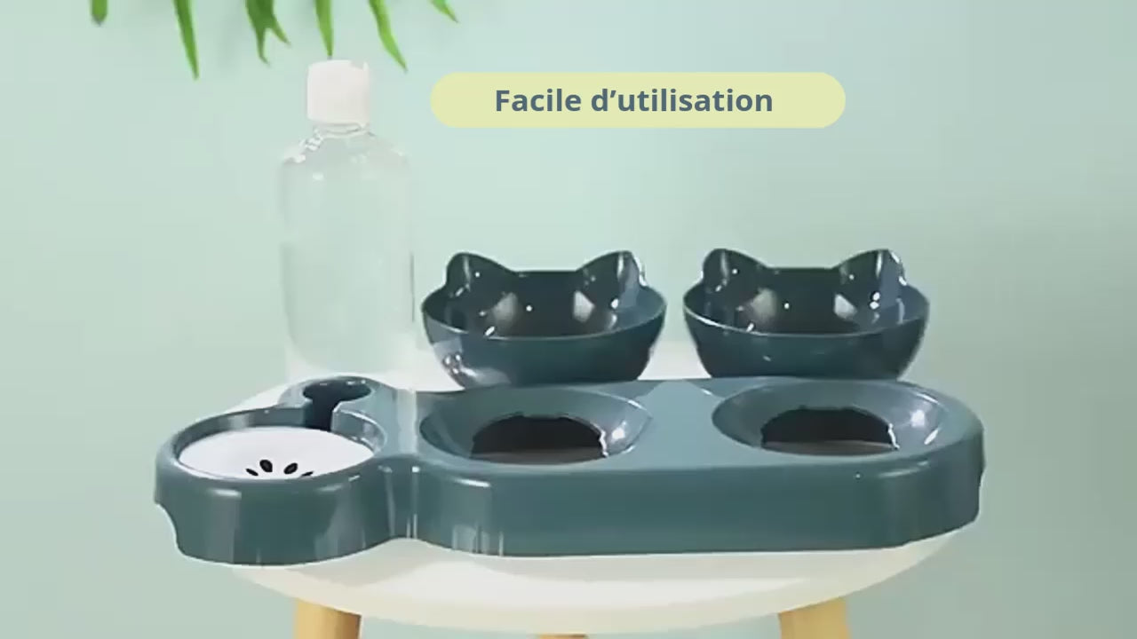 vidéos de gamelle 3 en 1 chat