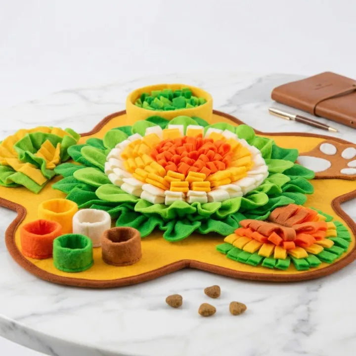 tapis de renfilage couleur perroquet  